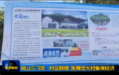 英山三门河：村企联姻 发展壮大村集体经济 