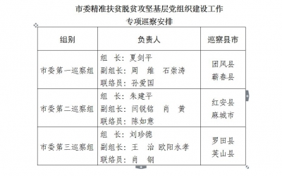 我市正式启动精准扶贫脱贫攻坚基层党组织建设工作专项巡察