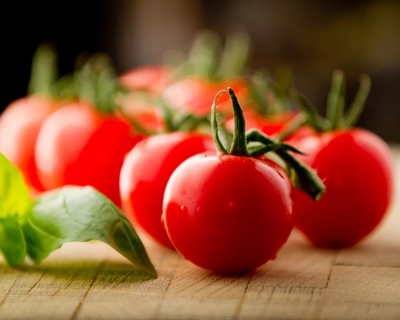 几招就教你分辨“西红柿是否为人工催熟”？不靠谱！