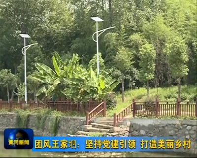 团风王家垇：坚持党建引领 打造美丽乡村
