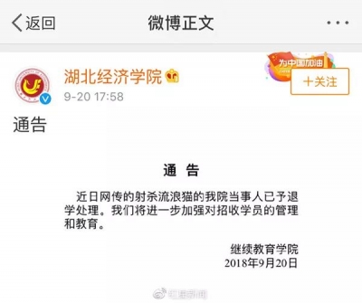 学生射杀流浪猫被开除引发质疑，学校：不是每个质疑都要回应…