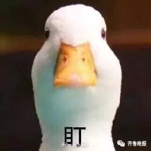 学校给家长派的这个新任务，让网友吵翻了！