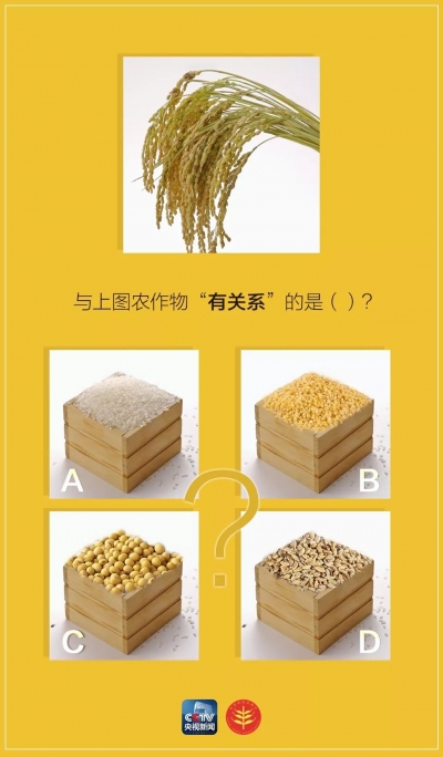 丰收节来了！如何才能不再“五谷不分”？