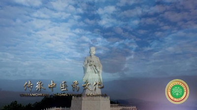 中国湖北第28届李时珍中药材交易会