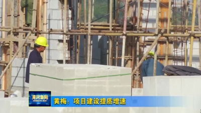 黄梅：项目建设提质增速
