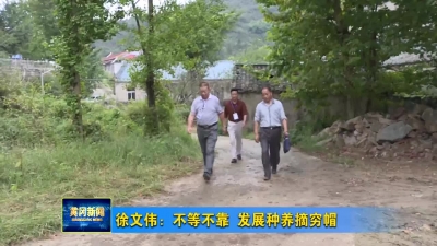 徐文伟：不等不靠 发展种养摘穷帽