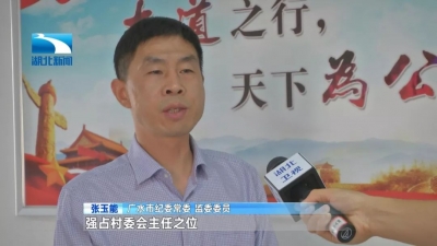 连氏家族破坏选举 为害乡里！湖北已铲除86个村霸