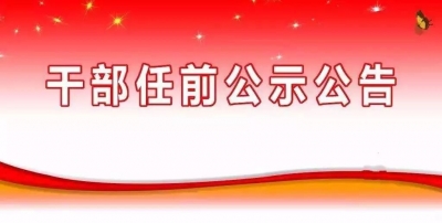 中共黄冈市委组织部干部任前公示公告