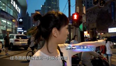 这两位警察被几十万人围观！他们做了啥？