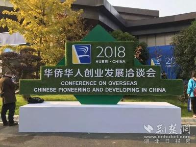 今天，湖北再次吸引世界的目光！这场盛会，等你来