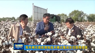 我市棉花提质增效技术模式集成示范取得成效