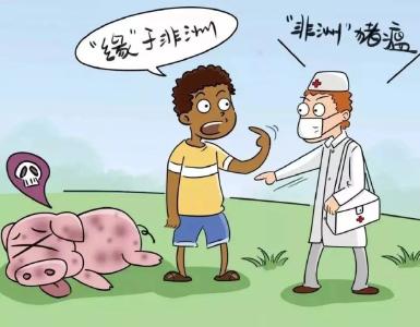 黄冈人别慌！非洲猪瘟不传染人，做好防控最重要！这些常识要掌握~