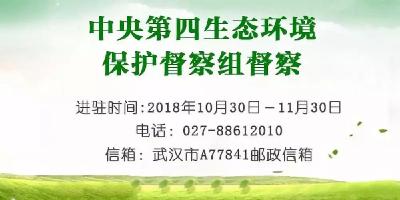 “回头看”进驻时间过半，湖北收到督察组交办信访件1277件