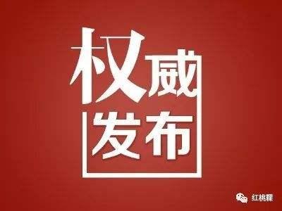 浠水县人民政府关于停建“山水环保发电项目”的通告