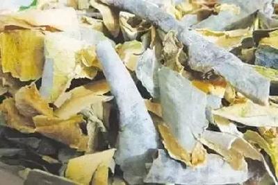 【健康】热水泡脚是养生，还是慢性自杀？这3类人要小心，否则～