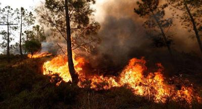 美国加州北部山火基本熄灭 造成至少84人死亡
