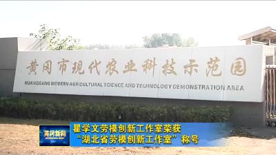瞿学文劳模创新工作室荣获“湖北省劳模创新工作室”称号