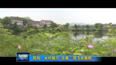 团风：乡村振兴 头雁“领飞众雁随”