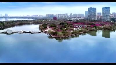 新播报20181222