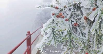 雪后中国，美得不成样子！