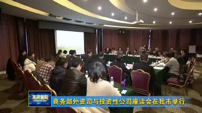商务部外资司与投资性公司座谈会在我市举行