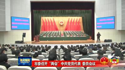 市委召开“两会”中共党员代表 委员会议