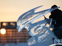 哈尔滨国际冰雕比赛：初露芳容