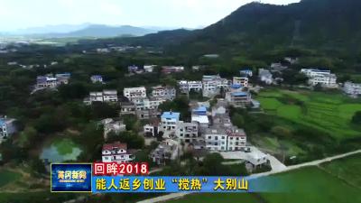 《回眸2018》能人返乡创业“搅热”大别山