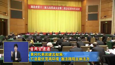 省两会速递︱黄冈代表团建言献策：打造最优营商环境 激活微观主体活力