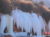 黄河岸边15米冰瀑悬挂山崖