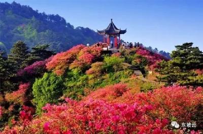 给力！黄冈4地入选国家级全域旅游示范区，你最想去哪一个？