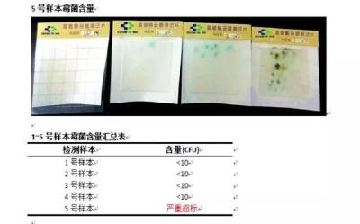 这款