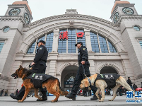 武汉:警犬“皮特”备战它的首个春运