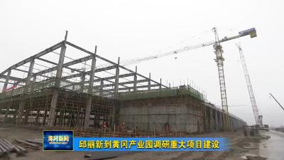 邱丽新到黄冈产业园调研重大项目建设