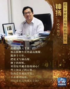 谢谢你们，感动中国！