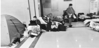 家长通宵抢号为孩子“占位” 带着将帐篷、躺椅排队
