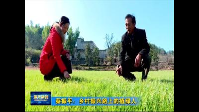 蔡振平：乡村振兴路上的植绿人