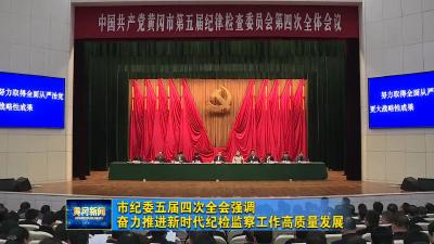 市纪委五届四次全会强调：奋力推进新时代纪检监察工作高质量发展