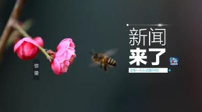 央视新闻 | 新闻来了〔2019.03.06〕