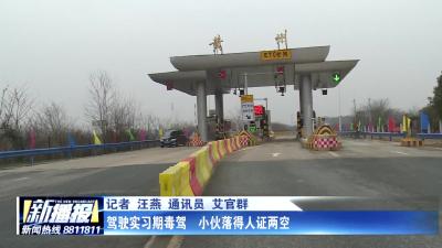 驾驶实习期毒驾 小伙落得人证两空