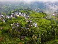 图集|宣恩伍家台：烟雨薄雾笼茶山