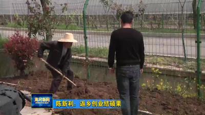 陈新利：返乡创业结硕果