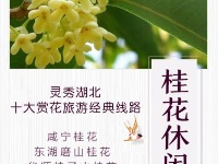 深受游客喜爱的10大赏花旅游经典线路发布