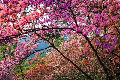 天马观花 七彩一寨