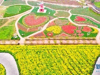 花海春天美 乡村旅游热