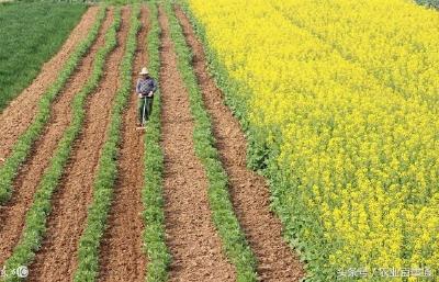  农业农村部：国家明令淘汰的落后产能不得进入乡村