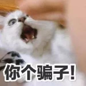 用微信支付的人注意了！当心这种“公众号”骗走你的钱！
