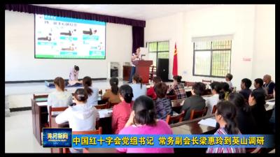 视频︱中国红十字会党组书记、常务副会长梁惠玲到英山调研