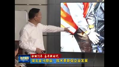 【壮丽70年 奋斗新时代 】湖北金马塑业：技术革新促企业发展