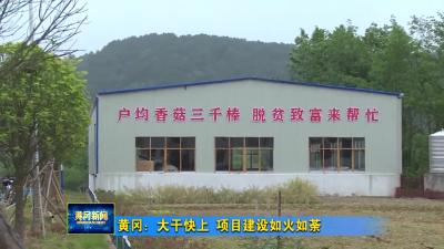 黄冈：大干快上 项目建设如火如荼